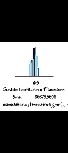 MS Servicios Inmobiliarios y Financieros 