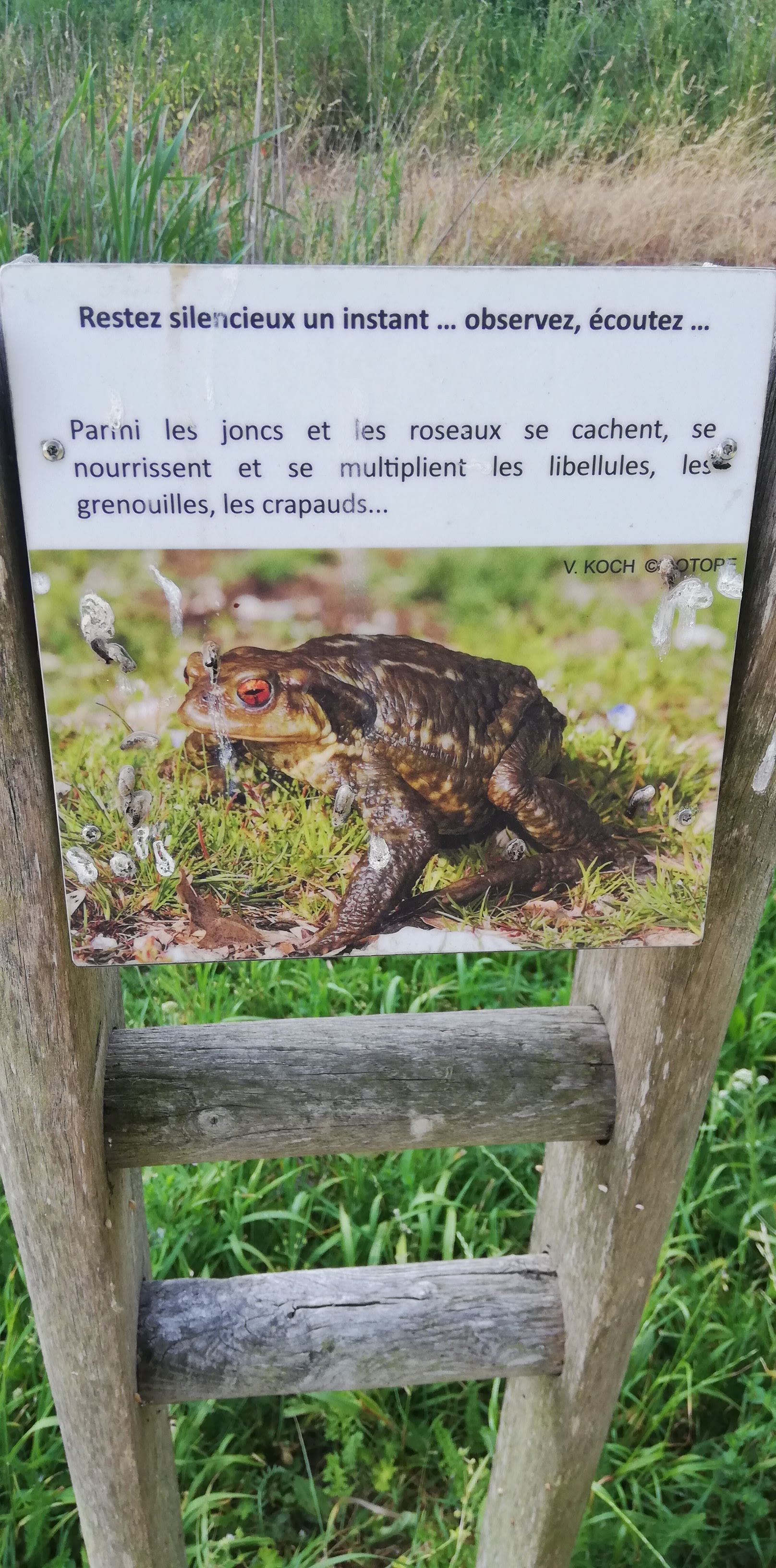Photo n° 4 de l'avis de Thierry.e fait le 13/06/2023 à 06:02