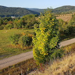 Photo n°4 de l'avis de Vlado.o fait le 20/09/2019 à 18:53 sur le  Serways Raststätte Thüringer Wald Süd à Geratal
