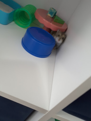 Pet Supply Store «PetSmart», reviews and photos, 1705 Mall of Georgia Blvd, Buford, GA 30519, USA