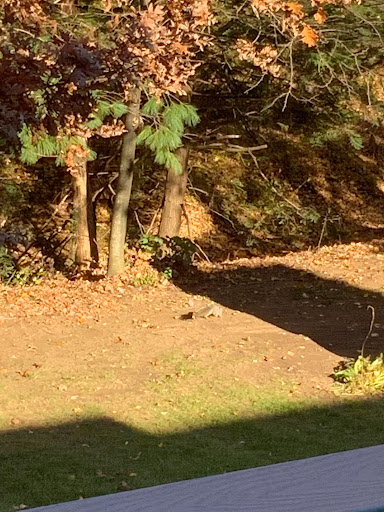 Window Installation Service «Window World», reviews and photos