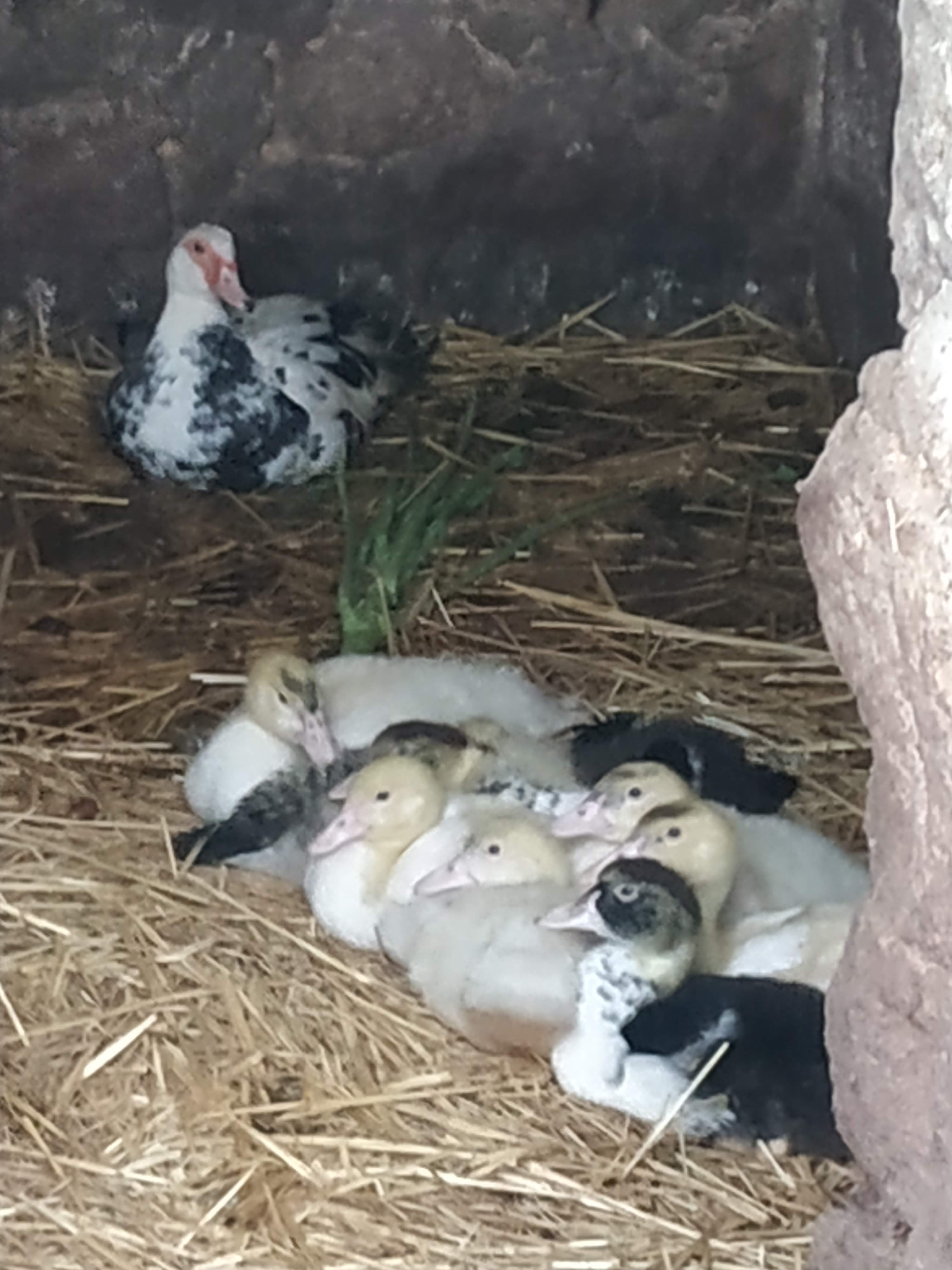 Photo n° 3 de l'avis de Jean-Pierre. fait le 27/10/2019 à 18:13