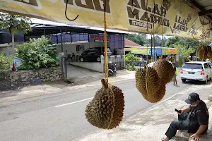 Raja Durian image