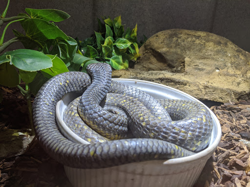 Tropical Fish Store «Harris In Wonderland», reviews and photos, 12 W Main St, Avon, CT 06001, USA