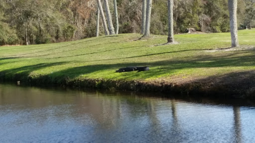 Golf Club «Silver Dollar Golf & Trap Club», reviews and photos, 12711 Silver Dollar Dr, Odessa, FL 33556, USA