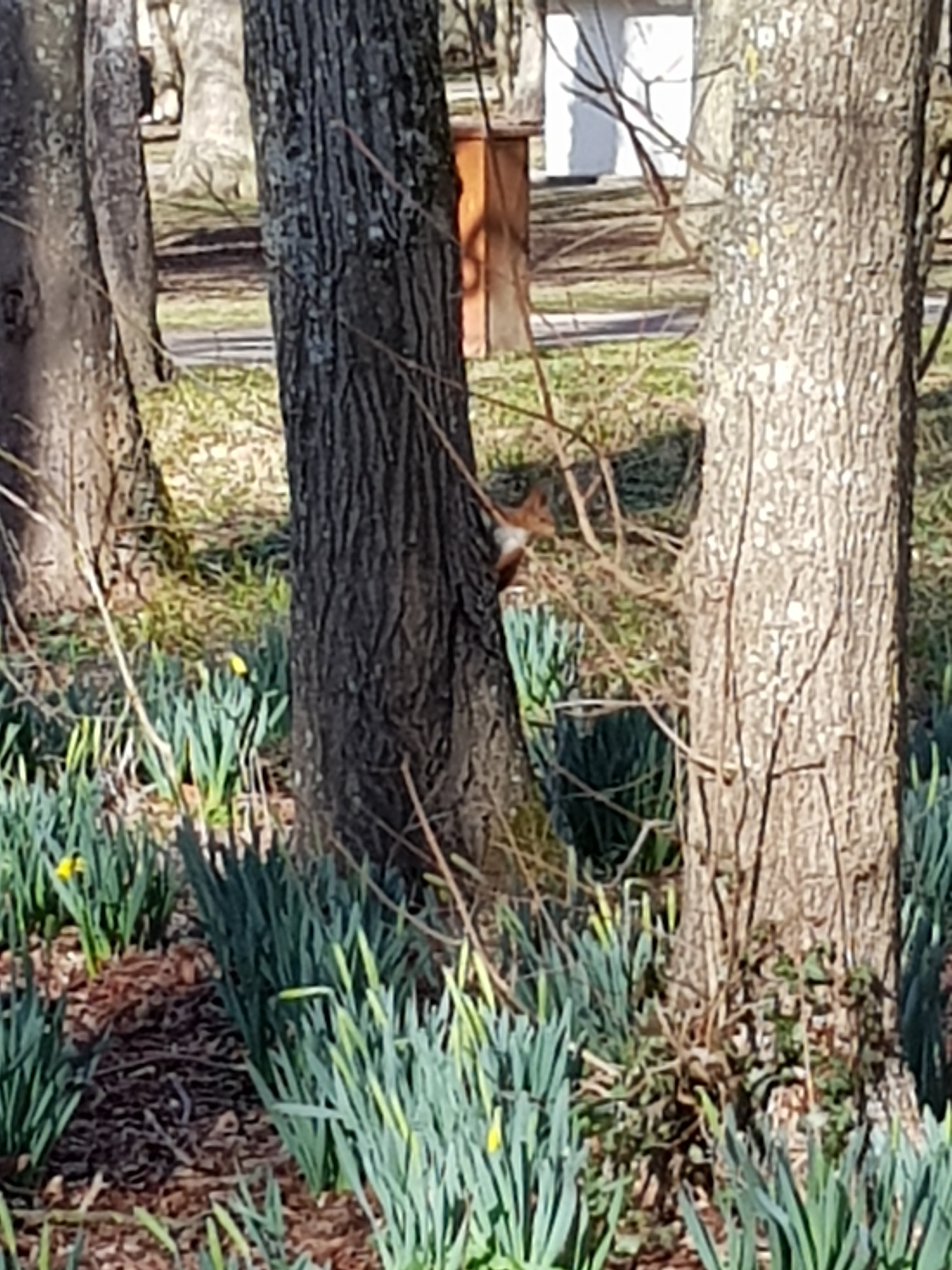 Photo n° 3 de l'avis de Roger.h fait le 08/03/2019 à 10:27