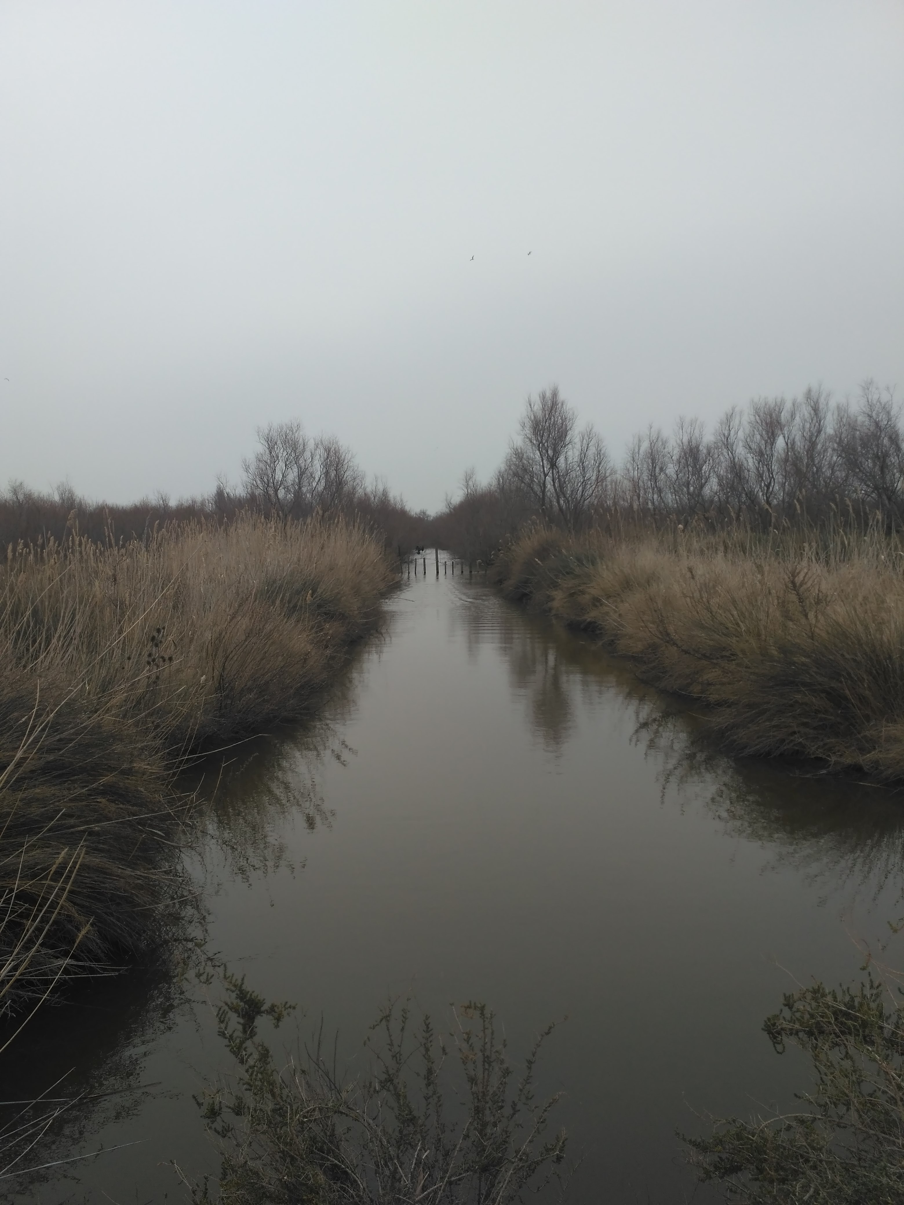 Photo n° 6 de l'avis de Cecile.a fait le 28/02/2018 à 20:50