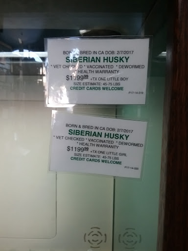 Pet Supply Store «Animal Kingdom Pet Shop», reviews and photos, 651 Dolliver St, Pismo Beach, CA 93449, USA