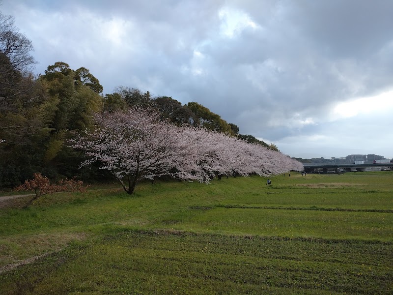 水城大堤