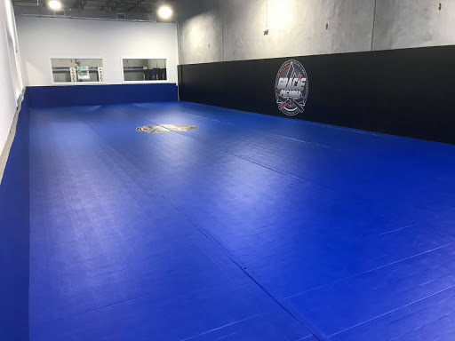 Academies to learn muay thai in Tampa