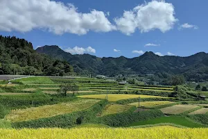Tochimata Rice Terraces image