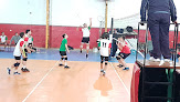 Mejores Clases Voleibol Cordoba Cerca De Ti