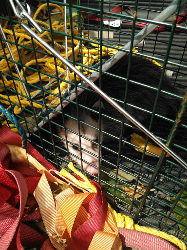 Produce Market «Stella Farms», reviews and photos, 459 Berlin New Freedom Rd, Berlin, NJ 08009, USA