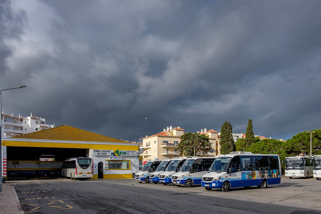 Comentários e avaliações sobre o Eva Transporte Lagos Portugal