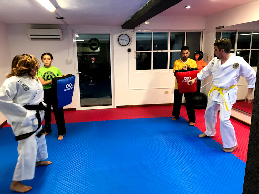 YONG HIM KWAN HAPKIDO CANCÚN