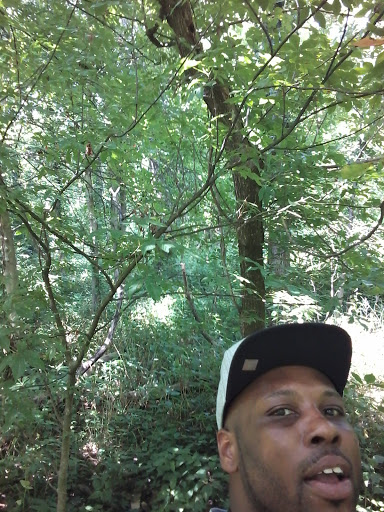 Park «Dr. James A. Dillon Park», reviews and photos, 6001 Edenshall Ln, Noblesville, IN 46060, USA