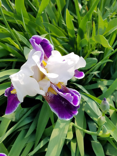 Memorial Park «Veterans Memorial Park», reviews and photos, 15 Cedar St, Nyack, NY 10960, USA