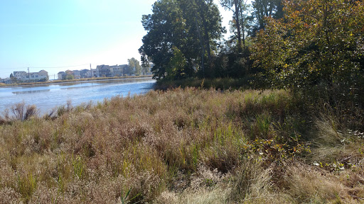 Tourist Attraction «Wetlands overlook park», reviews and photos, 4020 11th St, North Beach, MD 20714, USA