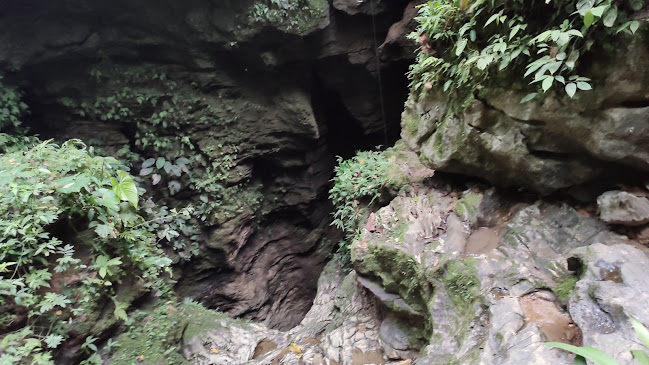 Cueva de los tayos