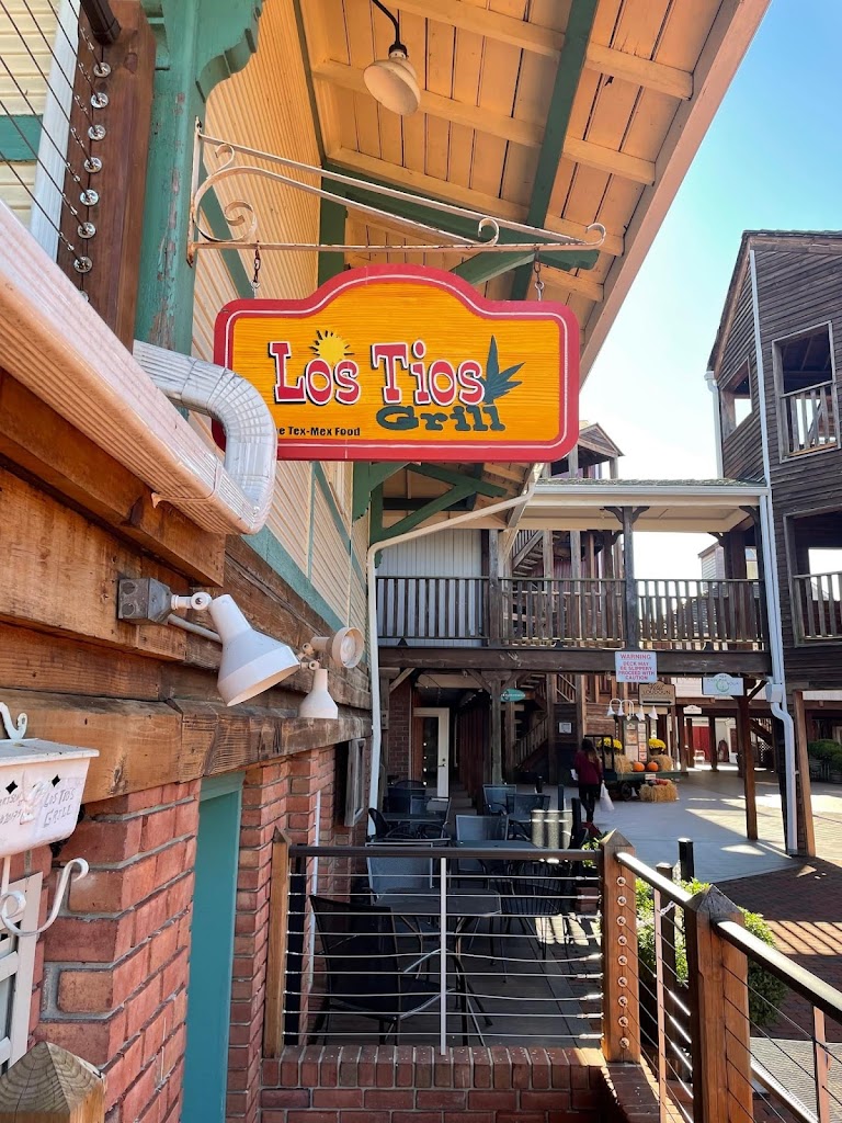 Los Tios Grill (Leesburg) 20175