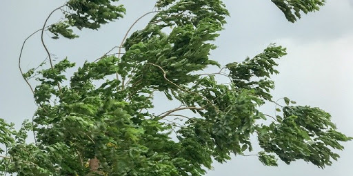 Insurance Agency «Allstate Insurance Agent: Tedd Schodzinski», reviews and photos