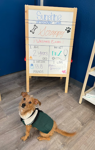 Sunshine Veterinary Care