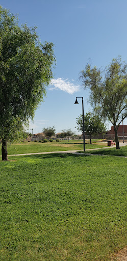 Park «Chuckwalla Park», reviews and photos, 4600 E Doral Dr, Chandler, AZ 85249, USA