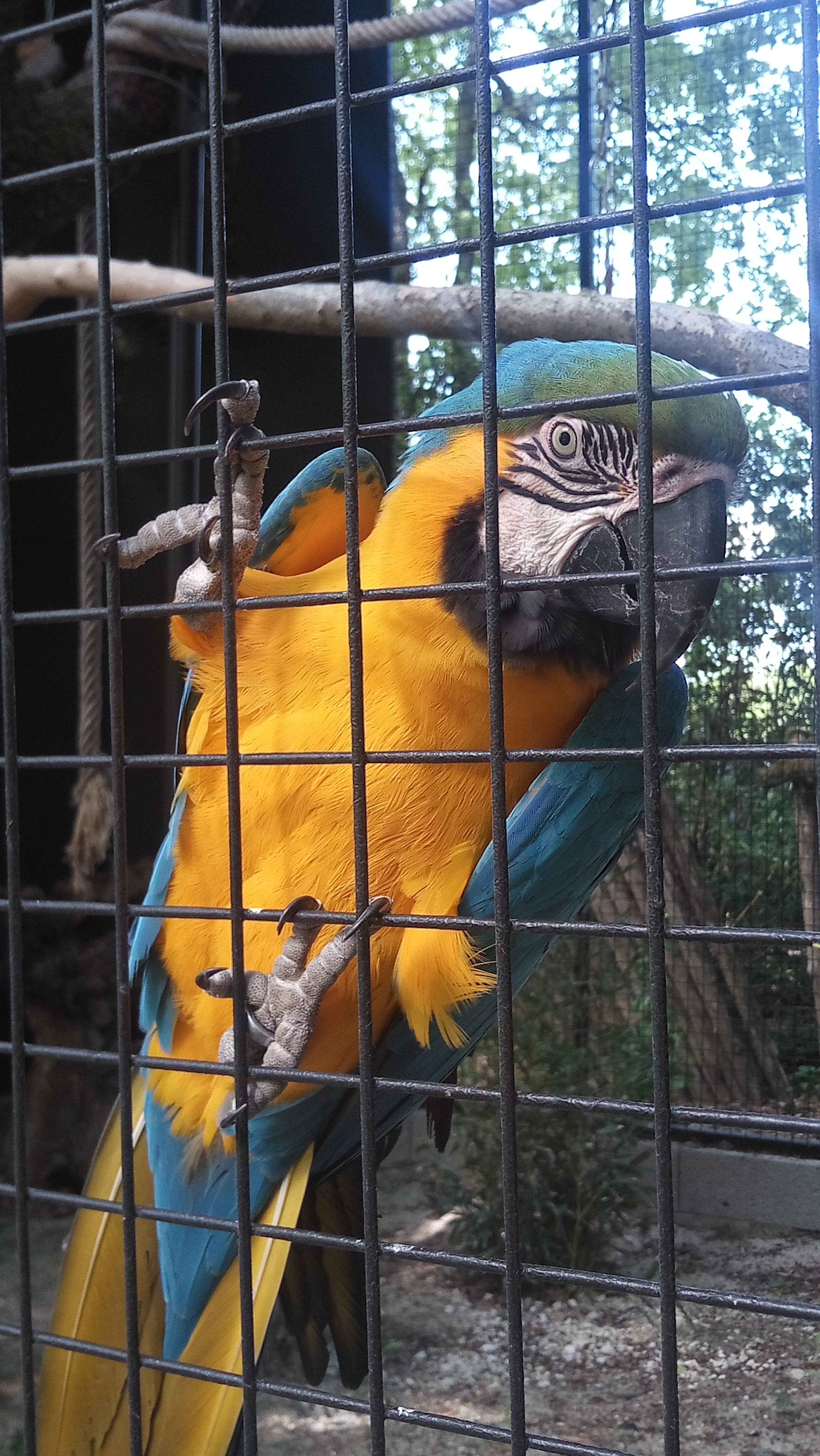 Photo n° 1 de l'avis de Ludovic.A fait le 13/05/2019 à 07:44