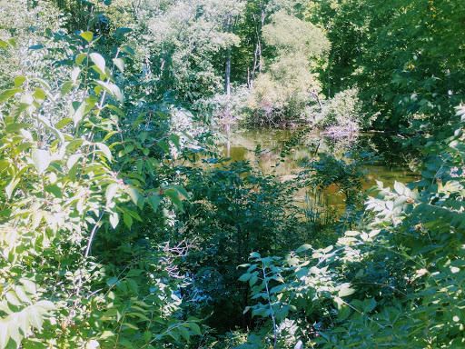 Nature Preserve «Scio Woods Preserve», reviews and photos, Scio Church Rd, Ann Arbor, MI 48103, USA