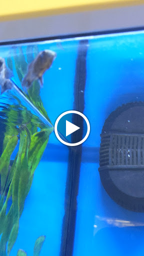 Pet Supply Store «Petco Animal Supplies», reviews and photos, 300 Hylan Dr, Rochester, NY 14623, USA