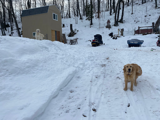 Invisible Fence Brand by Great Lakes Contain & Train