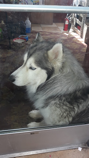 Liquor Store «Vegas Liquor & Wine Shop», reviews and photos, 8024 Greenfield Rd, Detroit, MI 48228, USA