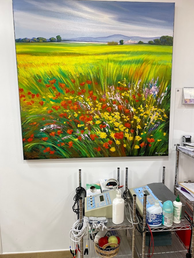 Núria Barcelona, Fisioterapeuta