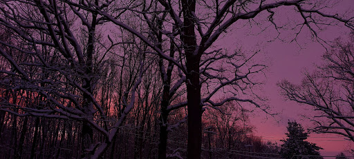 Computer Repair Service «Reliable Computer Repair», reviews and photos, 13 Brook St, Seymour, CT 06483, USA