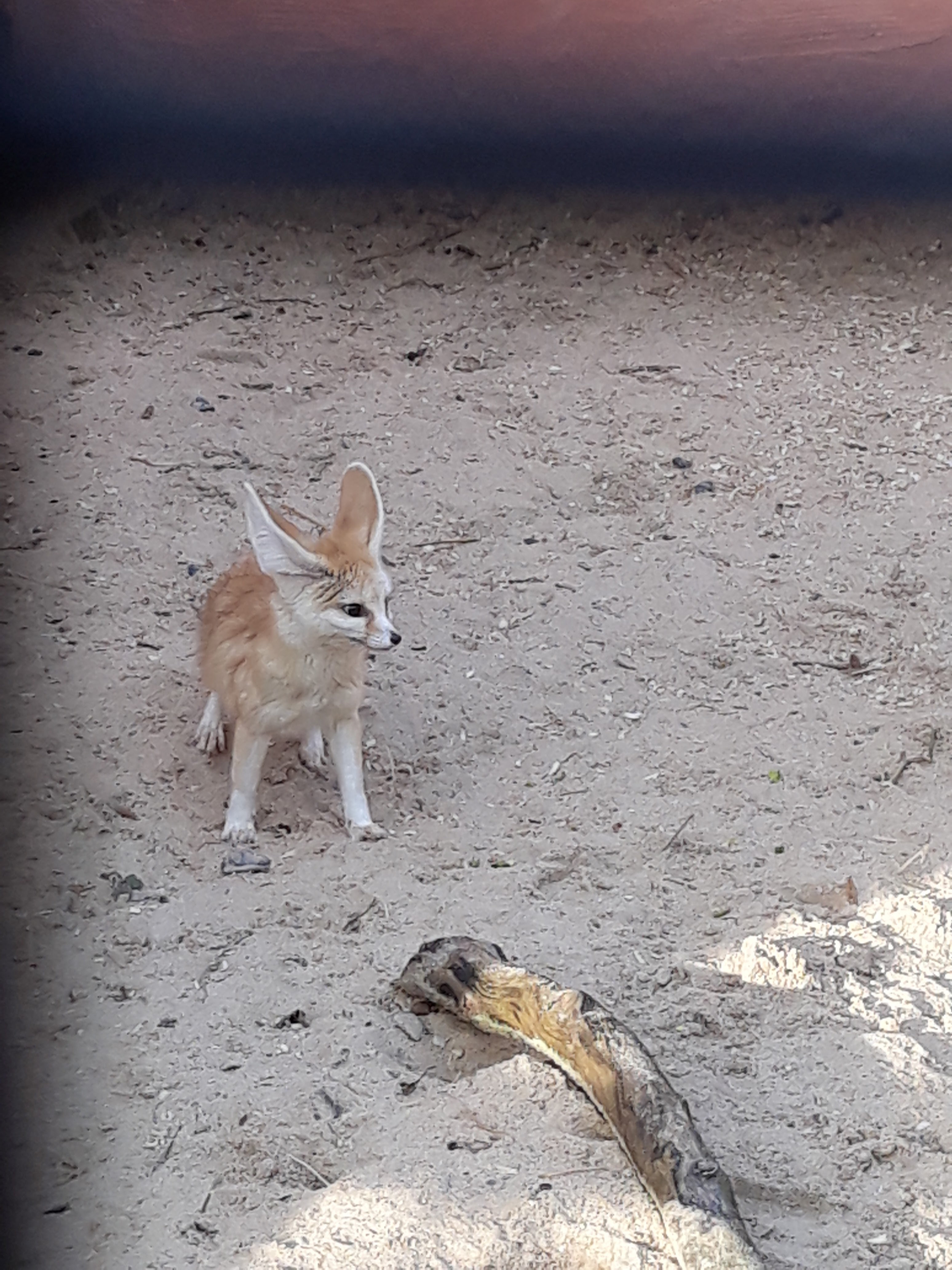 Photo n° 9 de l'avis de Priscillia.r fait le 18/02/2019 à 12:48