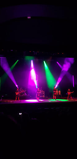 Performing Arts Theater «Anderson Center For the Arts», reviews and photos, Parkway E, Vestal, NY 13850, USA