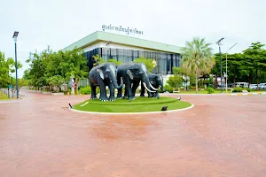 Thakhlong Park image
