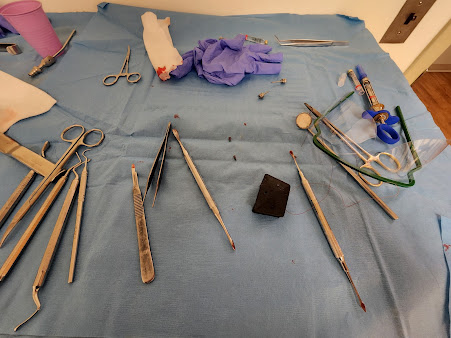 Craig Donn DDS - Craig Donn DDS