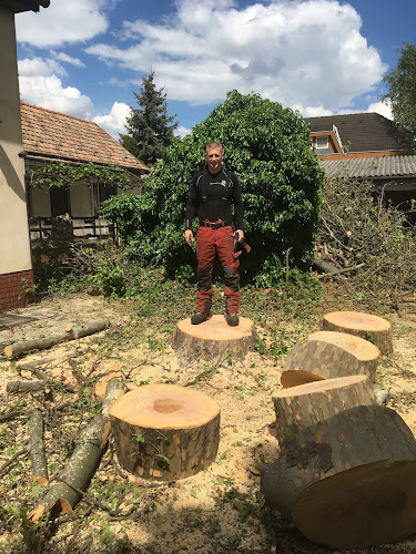 Értékelések erről a helyről: favágás, veszélyes fák kivágása Für Tibor Lakott területi favágó, Cegléd - Kertészkedő