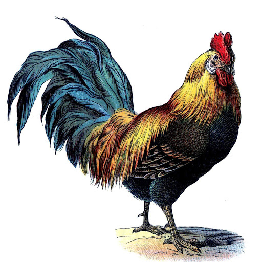 Mexican Restaurant «El Pollo Loco», reviews and photos, 10100 Carmenita Rd, Whittier, CA 90605, USA