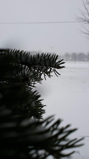 Park «Pasteur Park», reviews and photos, 5825 S Kostner Ave, Chicago, IL 60629, USA