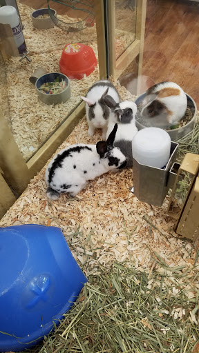 Pet Supply Store «Pet Supermarket», reviews and photos, 545 Cool Springs Blvd, Franklin, TN 37067, USA