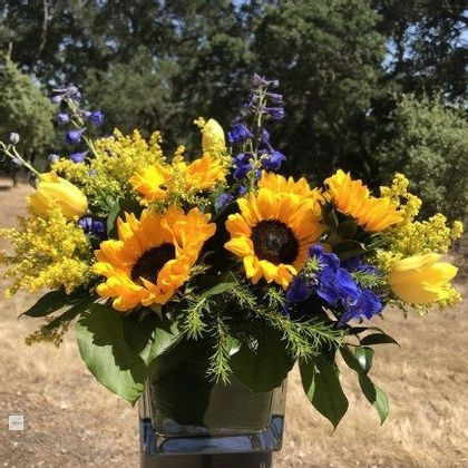 Florist «Ambience Floral Design & Gifts», reviews and photos, 1249 Pleasant Grove Blvd #100, Roseville, CA 95678, USA