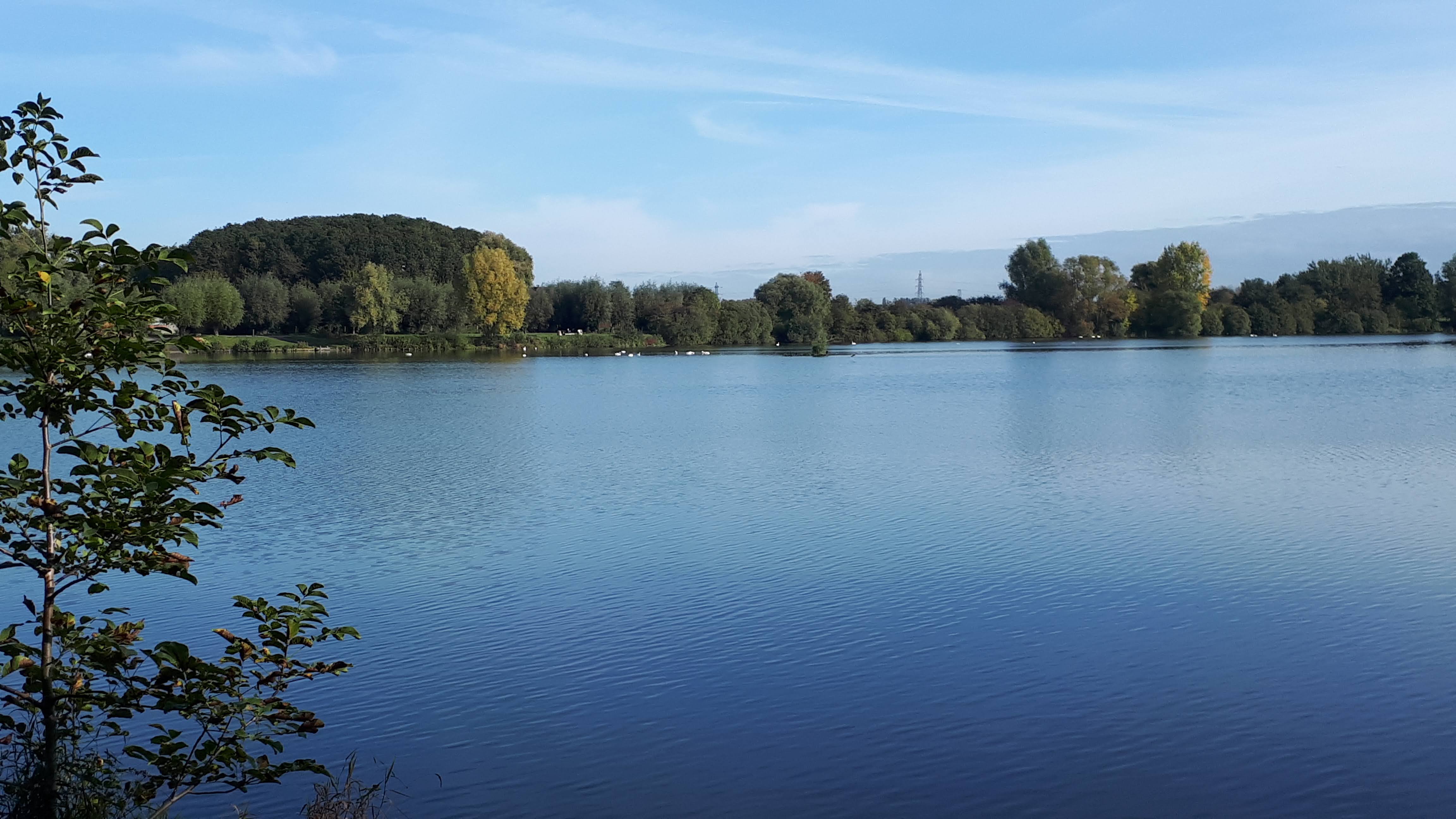 Photo n° 1 de l'avis de Jean.u fait le 13/10/2021 à 16:15