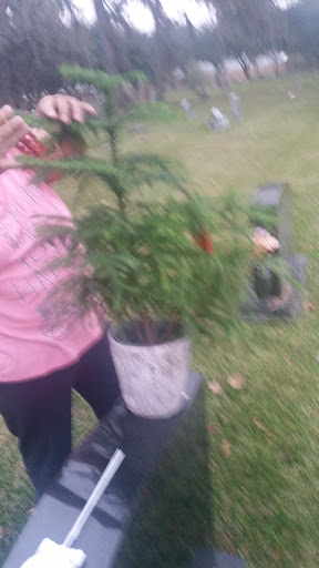 Cemetery «Calvary Hill Cemetery», reviews and photos, 21723 Aldine Westfield Rd, Humble, TX 77338, USA