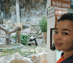 Giant Panda Research and Exhibition Center photo