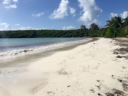 Playa Media Luna'in fotoğrafı imkanlar alanı