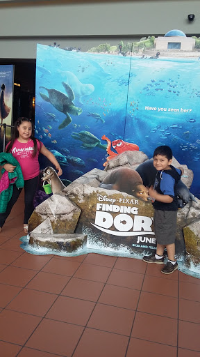 Movie Theater «Regal Cinemas Bellingham 14», reviews and photos, 259 Hartford Ave, Bellingham, MA 02019, USA