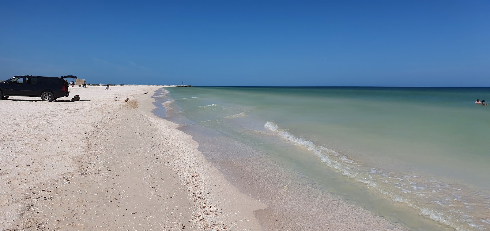 Fotografija Playa Puerto Abrigo divje območje