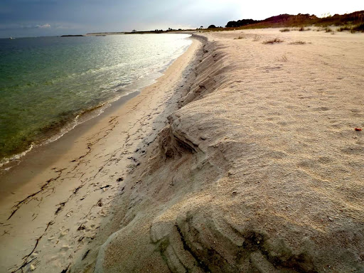 Tourist Attraction «Shell Island Beach», reviews and photos, 4607 State Park Ln, Panama City, FL 32408, USA